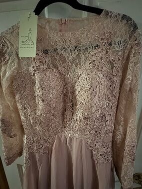 Gallery Blush Lace Evening Gown